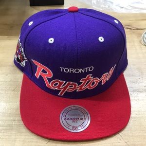 Toronto Raptors SnapBack